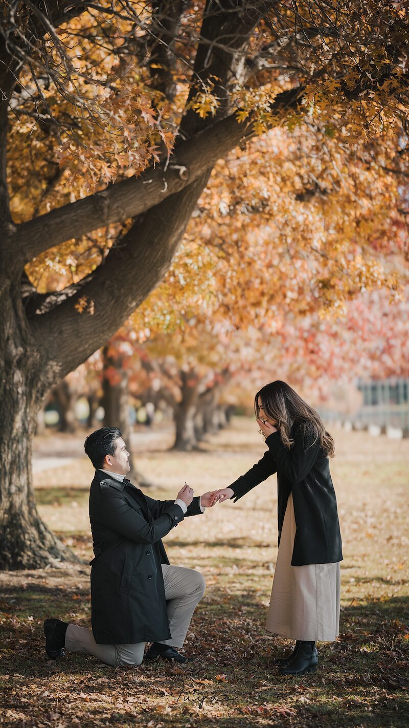 Wedding Photography 5
